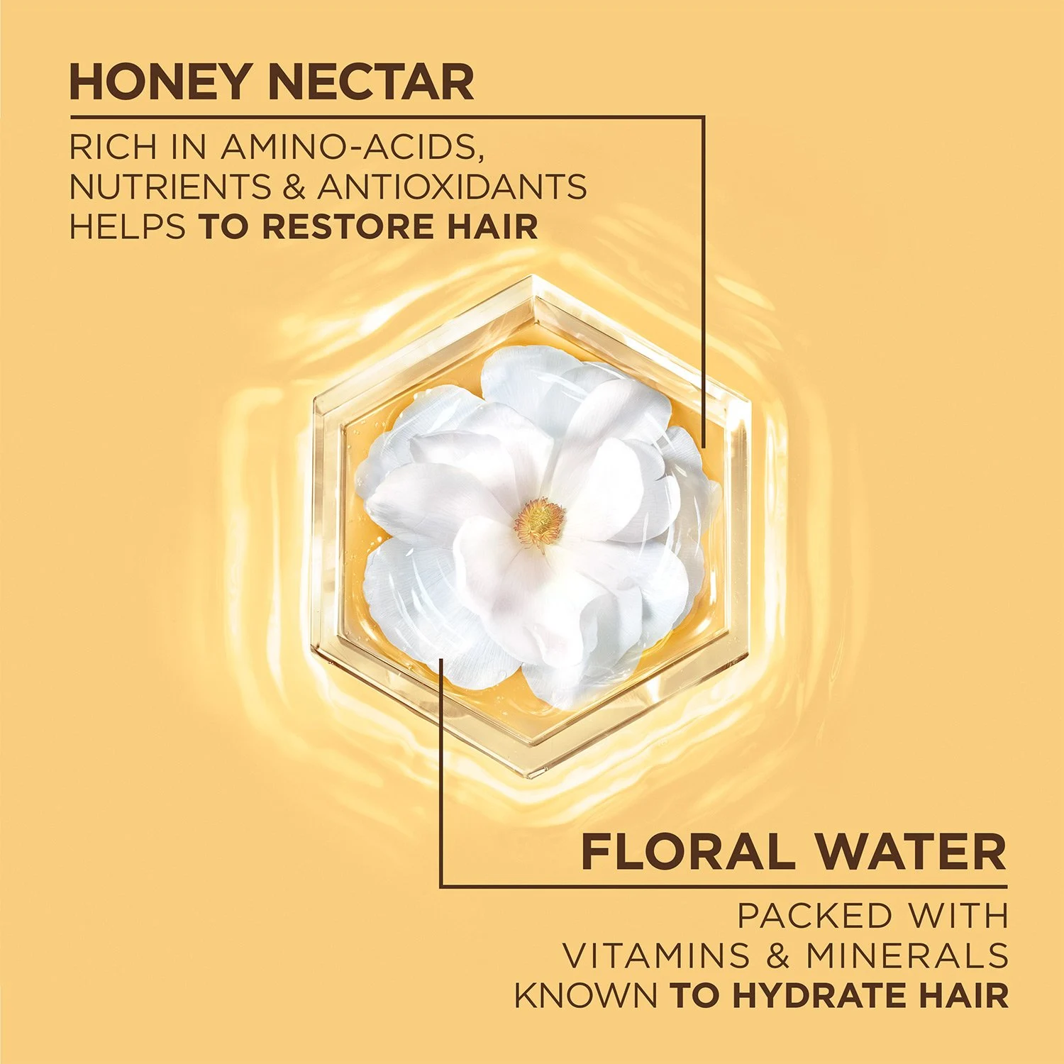 Honey Water Moisture Restoring Shampoo 14 Honey Water Moisture Restoring Shampoo